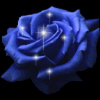 Active Image