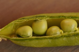 Cinq dans une cosse de pois