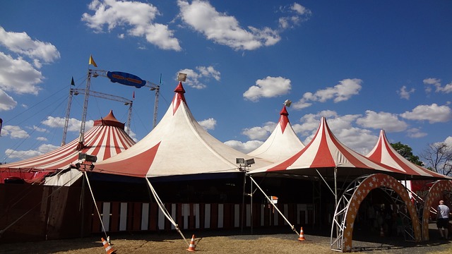 le monde du cirque a paris les spectacles a ne pas manquer en cette fin d'annee
