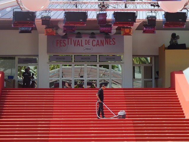 Festival de Cannes 2015