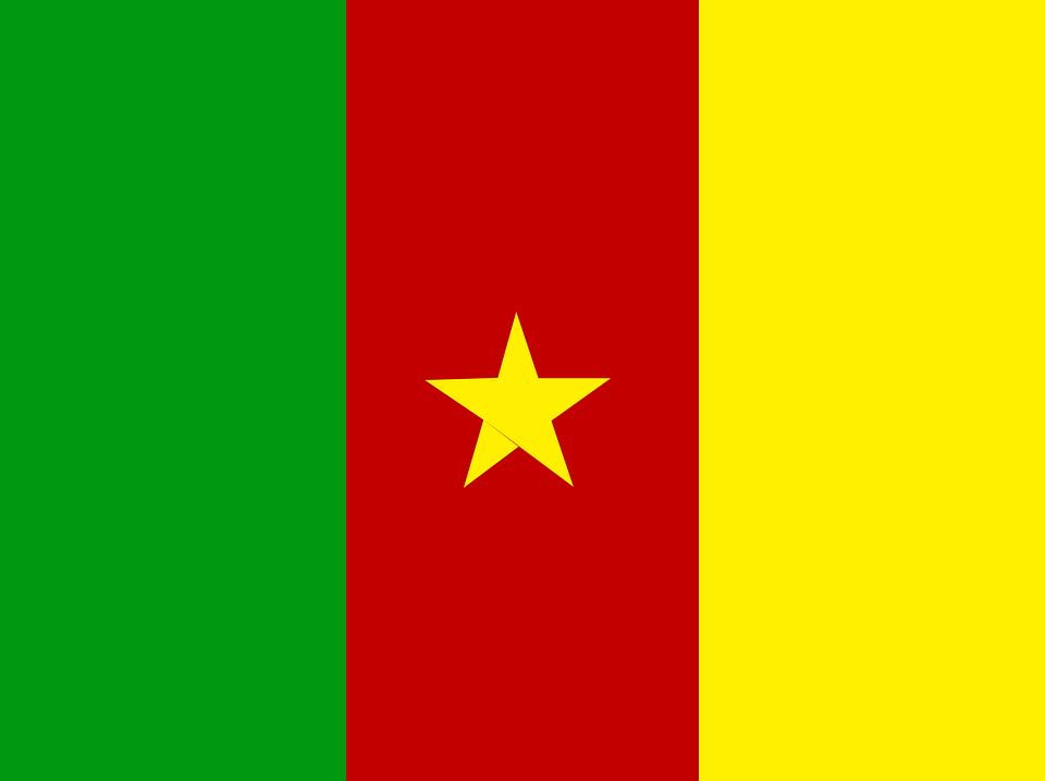 Drapeau Cameroun - Le drapeau camerounais