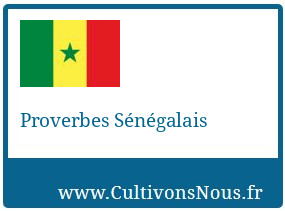 Proverbes Sénégalais