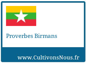 Proverbes Birmans