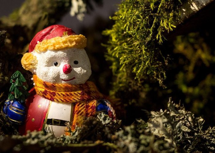 Comment bien se préparer pour les Fêtes de Noël ?