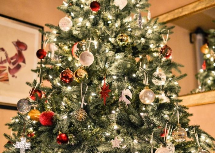 Comment choisir son sapin de Noël
