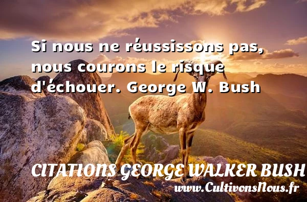 Si nous ne réussissons pas - Citations George Walker Bush - Citation risque