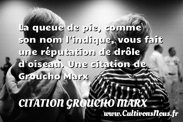 La queue de pie, comme son nom l’indique, vous fait une réputation - Citation Groucho Marx - Citation oiseau