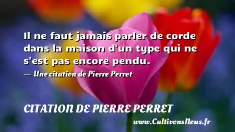 Il ne faut jamais parler de corde dans la maison d un type qui ne s est pas encore pendu. - Une citation de Pierre Perret CITATION DE PIERRE PERRET