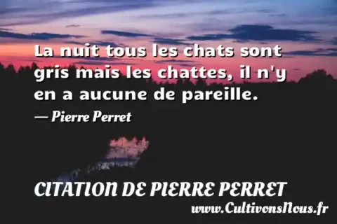 La nuit tous les chats sont gris mais les chattes, il n y en a aucune de pareille. - Pierre Perret CITATION DE PIERRE PERRET