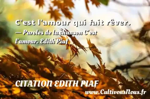 C est l amour qui fait rêver. - Paroles de la chanson C est l amour. Edith Piaf  CITATION EDITH PIAF