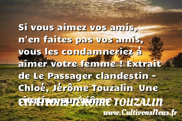 Si vous aimez vos amis - Citations Jérôme Touzalin - Citations aimer