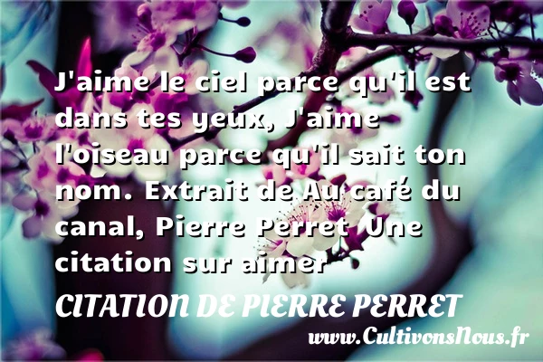 J’aime le ciel parce qu’il est dans tes yeux - Citation de Pierre Perret - Citations aimer