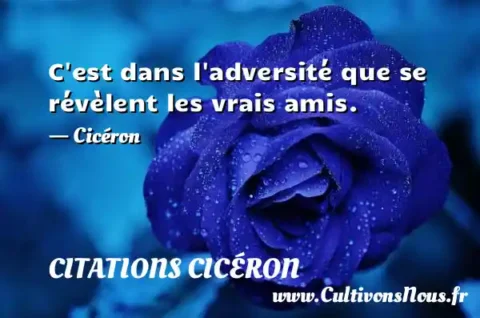 C est dans l adversité que se révèlent les vrais amis. - Cicéron CITATIONS CICÉRON
