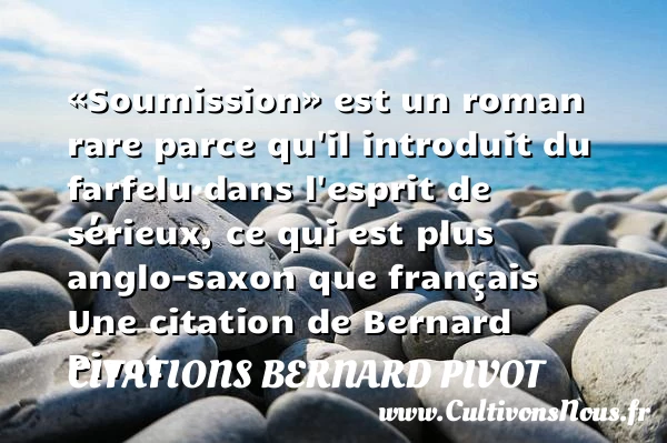 «Soumission» est un roman rare parce qu’il introduit du farfelu dans l’esprit - Citations Bernard Pivot - Citation esprit - Citation roman - Citation sérieux