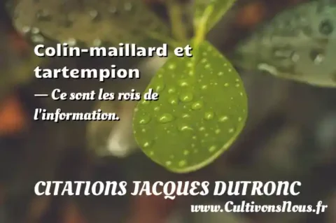 Colin-maillard et tartempion - Ce sont les rois de l information. CITATIONS JACQUES DUTRONC
