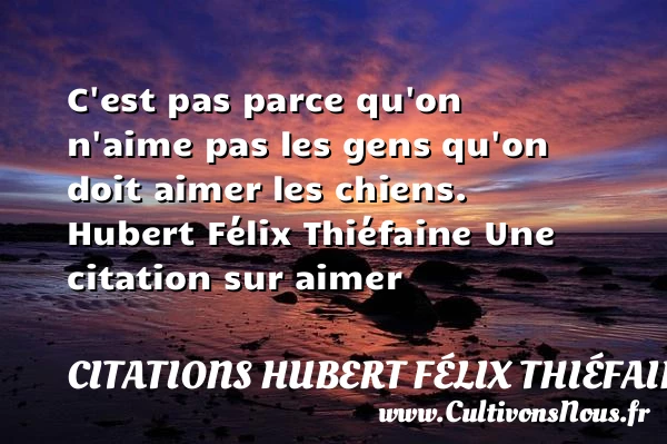 C’est pas parce qu’on n’aime pas les gens - Citations Hubert Félix Thiéfaine - Citations aimer
