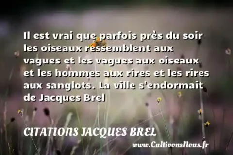 Il est vrai que parfois près du soir les oiseaux ressemblent aux vagues et les vagues aux oiseaux et les hommes aux rires et les rires aux sanglots. La ville s endormait de Jacques Brel       CITATIONS JACQUES BREL