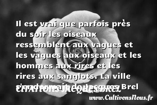 Il est vrai que parfois - Citations Jacques Brel