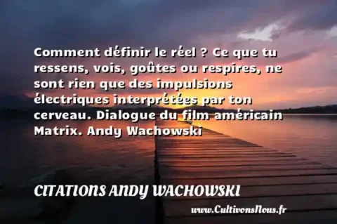 Comment définir le réel ? Ce que tu ressens, vois, goûtes ou respires, ne sont rien que des impulsions électriques interprétées par ton cerveau. Dialogue du film américain Matrix. Andy Wachowski         CITATIONS ANDY WACHOWSKI
