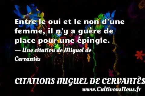 Entre le oui et le non d une femme, il n y a guère de place pour une épingle. - Une citation de Miguel de Cervantès CITATIONS MIGUEL DE CERVANTÈS