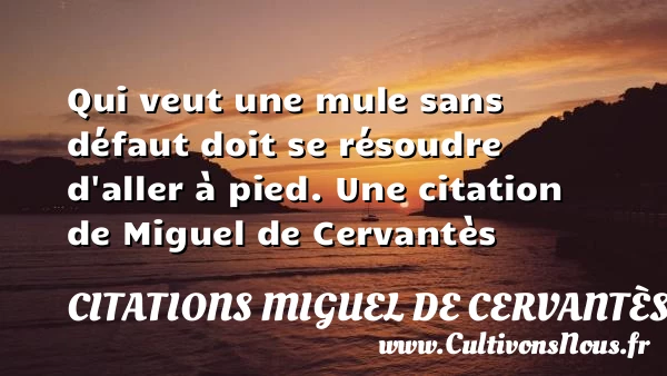 Qui veut une mule sans défaut doit se résoudre d’aller - Citations Miguel de Cervantès
