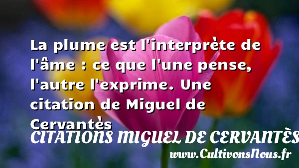 La plume est l’interprète de l’âme : ce - Citations Miguel de Cervantès