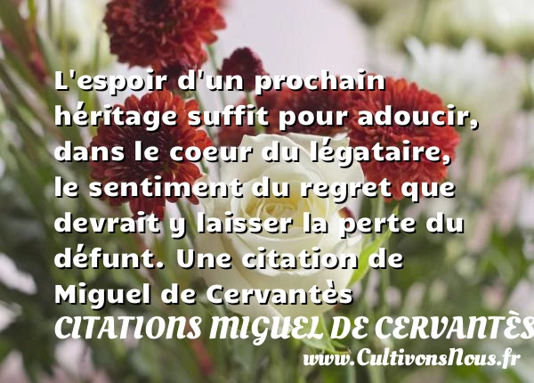 L’espoir d’un prochain héritage suffit pour adoucir, dans le coeur du légataire, le sentiment - Citations Miguel de Cervantès - Citation age