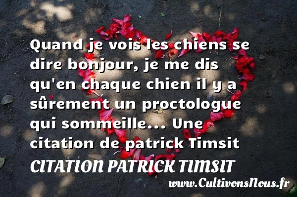 Quand je vois les chiens se dire bonjour, je - Citation patrick Timsit - Citation bonjour