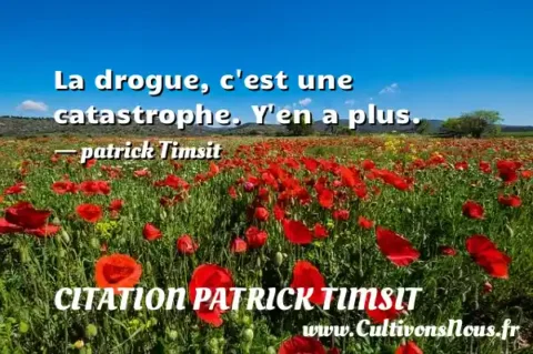 La drogue, c est une catastrophe. Y en a plus. - patrick Timsit CITATION PATRICK TIMSIT