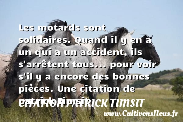 Les motards sont solidaires. Quand il y en a un - Citation patrick Timsit