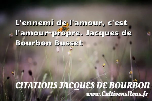 L’ennemi de l’amour, - Citations Jacques de Bourbon Busset - Citations Déclaration d’amour