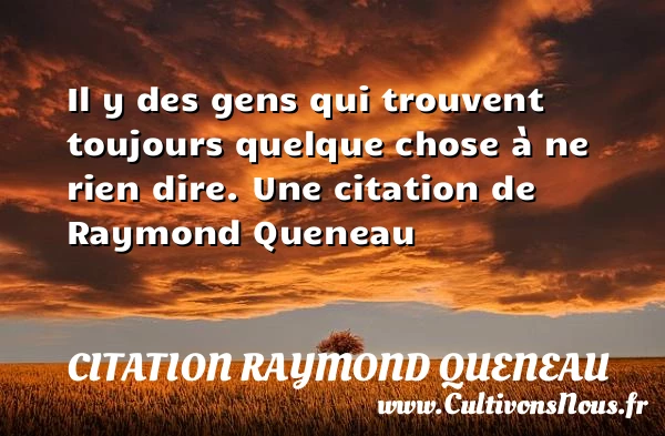 Il y des gens qui trouvent toujours quelque chose - Citation Raymond Queneau - Citation ne rien dire