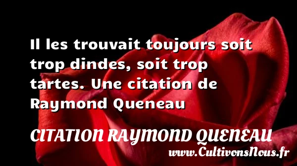 Il les trouvait toujours soit trop dindes, soit - Citation Raymond Queneau