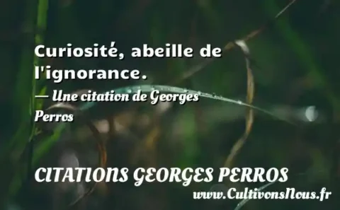 Curiosité, abeille de l ignorance. - Une citation de Georges Perros CITATIONS GEORGES PERROS