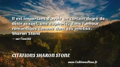 Il est important d avoir un certain degré de désir sexuel, une euphorie, dans l amour romantique comme dans ses amitiés. Sharon Stone   - sur l amitié CITATIONS SHARON STONE