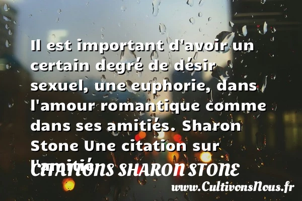 Il est important d’avoir un certain degré - Citations Sharon Stone - Citation Amitié