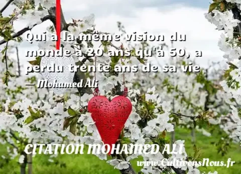 Qui a la même vision du monde à 20 ans qu à 50, a perdu trente ans de sa vie - Mohamed Ali CITATION MOHAMED ALI