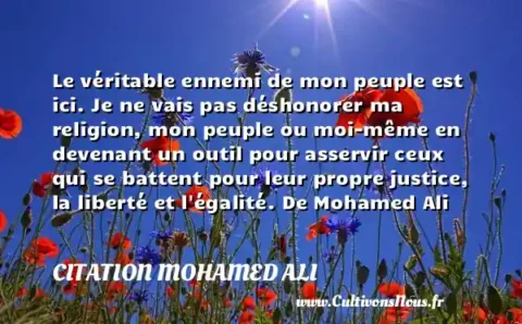 Le véritable ennemi de mon peuple est ici. Je ne vais pas déshonorer ma religion, mon peuple ou moi-même en devenant un outil pour asservir ceux qui se battent pour leur propre justice, la liberté et l égalité. De Mohamed Ali CITATION MOHAMED ALI