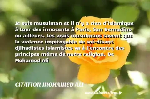Je suis musulman et il n y a rien d islamique à tuer des innocents à Paris, San Bernadino ou ailleurs. Les vrais musulmans savent que la violence impitoyable de soi-disant djihadistes islamistes va à l encontre des principes même de notre religion. De Mohamed Ali CITATION MOHAMED ALI