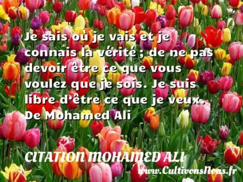 Je sais où je vais et je connais la vérité ; de ne pas devoir être ce que vous voulez que je sois. Je suis libre d’être ce que je veux. De Mohamed Ali CITATION MOHAMED ALI