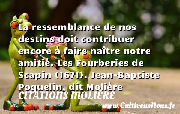 La ressemblance de nos destins - Citations Molière - Citation Amitié