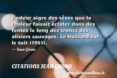 L odeur aigre des sèves que la chaleur faisait éclater dans des fentes le long des troncs des alisiers sauvages. Le Hussard sur le toit (1951). - Jean Giono CITATIONS JEAN GIONO
