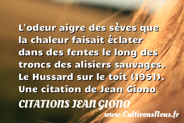 L’odeur aigre des sèves - Citations Jean Giono - Citation odeur