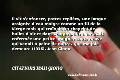 Il vit s enfoncer, pattes repliées, une longue araignée d eau maigre comme un fil de la Vierge mais qui traînait un chapelet de bulles d air et dans chaque bulle d air était enfermée une petite araignée toute neuve qui venait à peine de naître. Que ma joie demeure (1935). Jean Giono CITATIONS JEAN GIONO