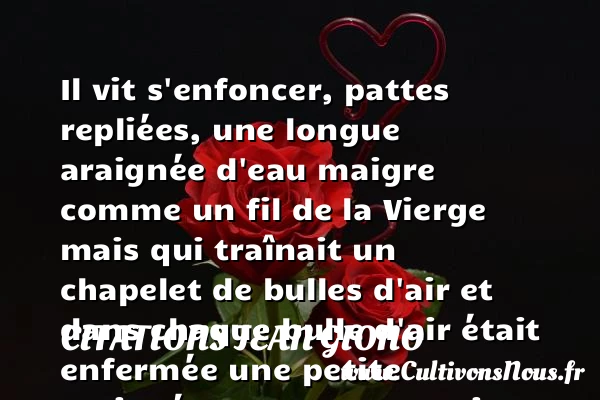 Il vit s’enfoncer, pattes repliées - Citations Jean Giono