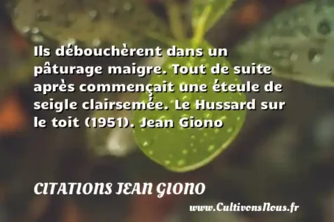 Ils débouchèrent dans un pâturage maigre. Tout de suite après commençait une éteule de seigle clairsemée. Le Hussard sur le toit (1951). Jean Giono CITATIONS JEAN GIONO