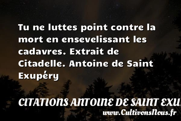 Tu ne luttes point contre la mort - Citations Antoine de Saint Exupéry - Citation lutte