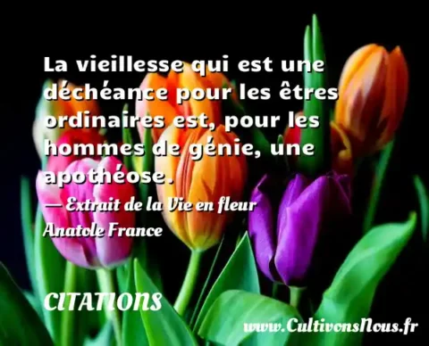 La vieillesse qui est une déchéance pour les êtres ordinaires est, pour les hommes de génie, une apothéose. - Extrait de la Vie en fleur Anatole France     CITATIONS