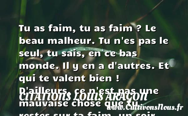 Tu as faim, tu as faim - Citations Louis Aragon - Citation faim
