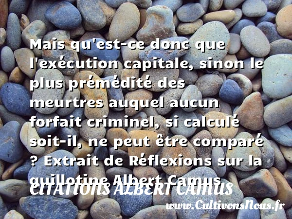 Mais qu’est-ce donc que l’exécution capitale - Citations Albert Camus